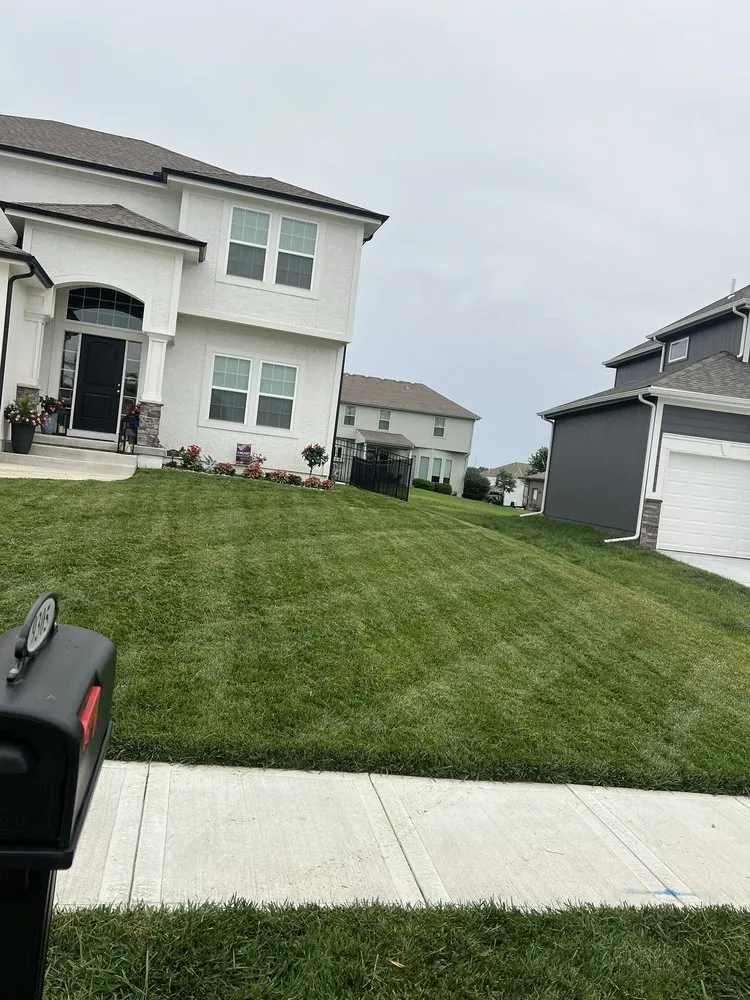 Custom landscaping services experts serving Holt, MO - Grass Geeks