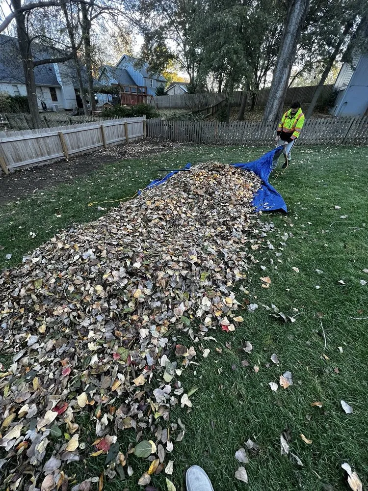 Affordable landscape installation in Holt, MO - Grass Geeks