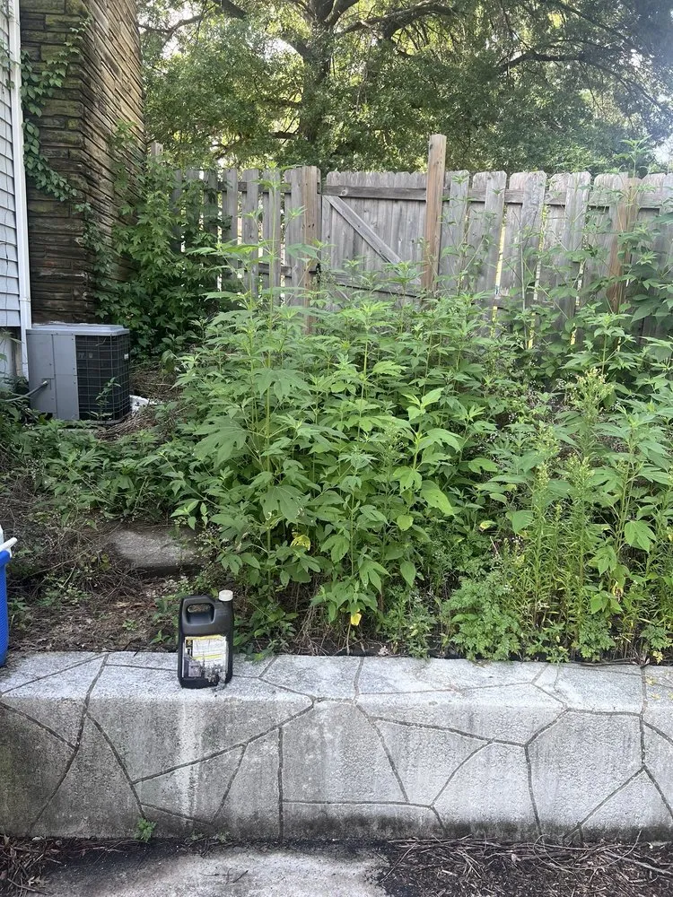 Reliable yard maintenance experts serving Holt, MO - Grass Geeks