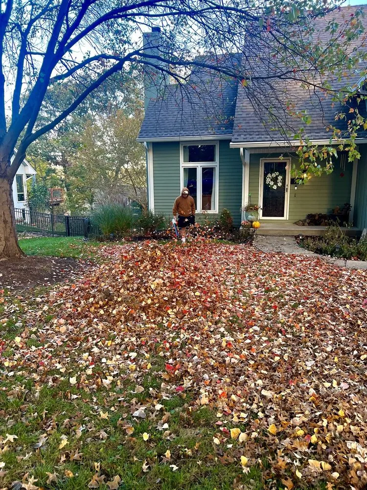 Professional garden landscaping experts serving Holt, MO - Grass Geeks