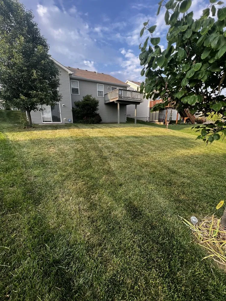 Expert landscape installation experts serving Holt, MO - Grass Geeks