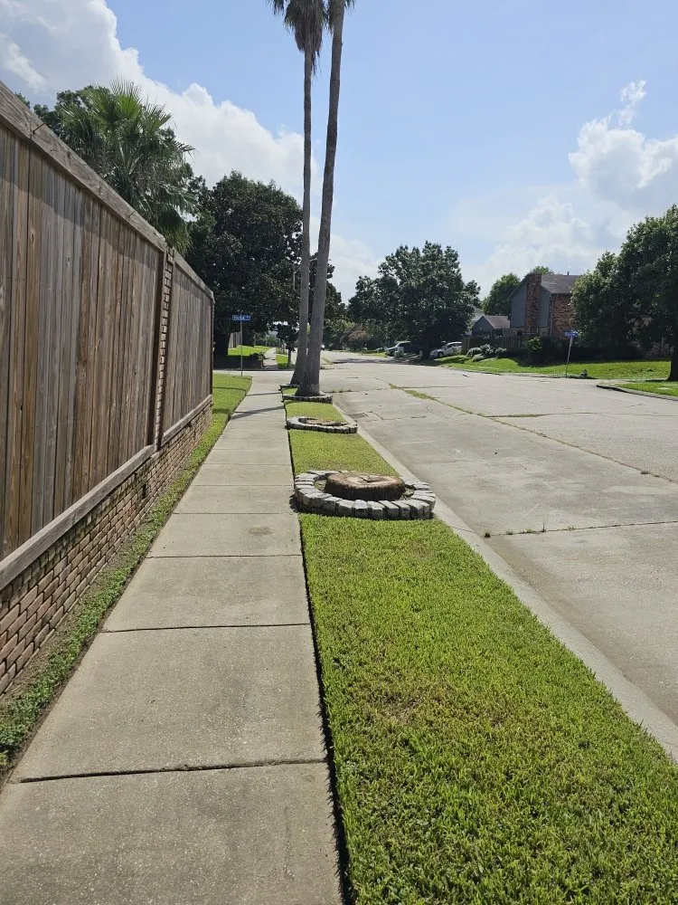 Custom landscape design for outdoor upgrades in New Orleans, LA by Grass Genie