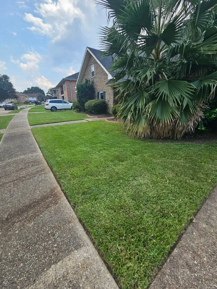 Reliable landscape design in New Orleans, LA by Grass Genie