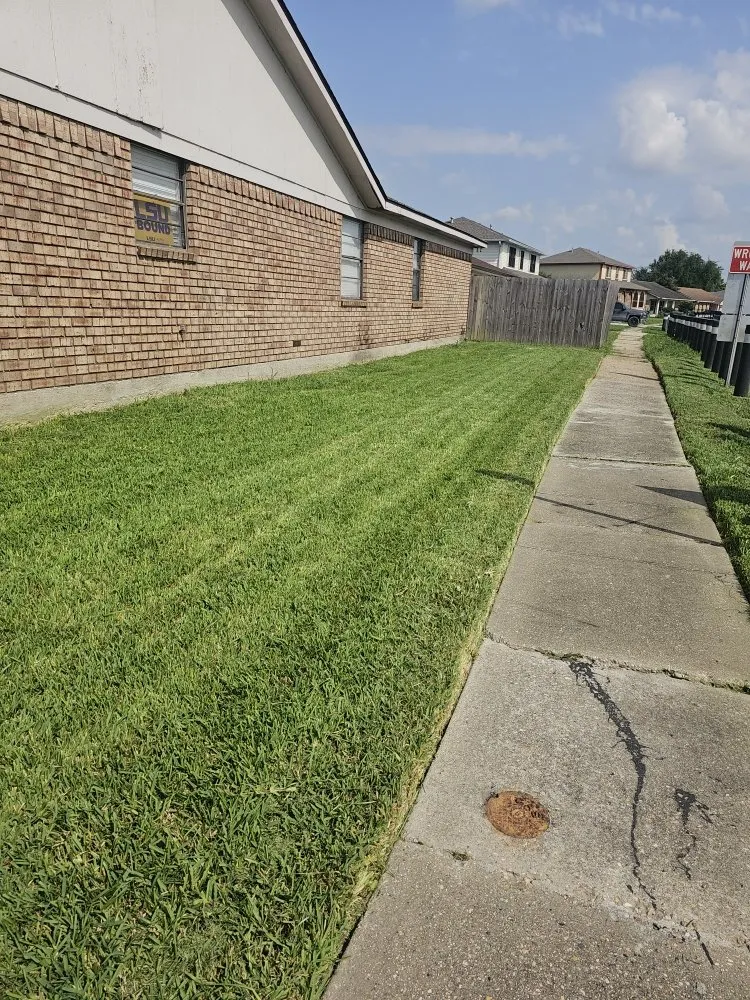 Affordable landscaping services experts serving New Orleans, LA - Grass Genie