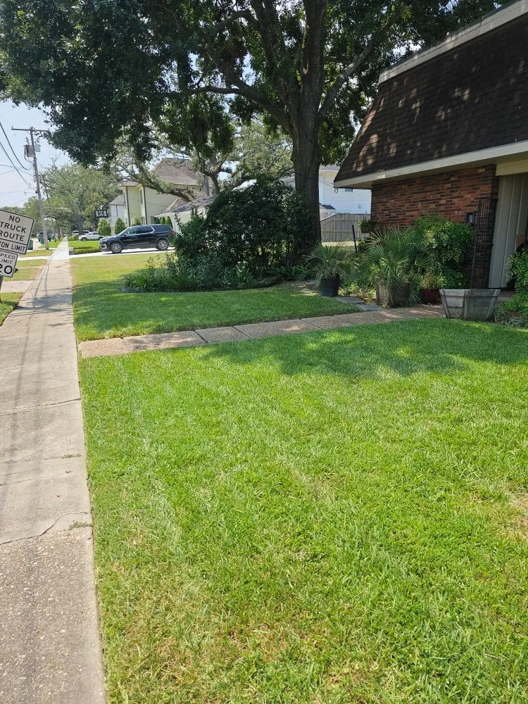 Trusted landscape design in New Orleans, LA by Grass Genie