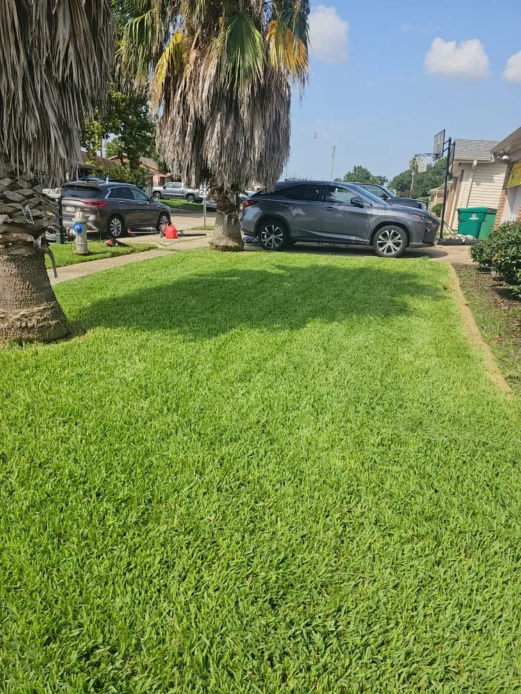 Local landscape installation experts serving New Orleans, LA - Grass Genie