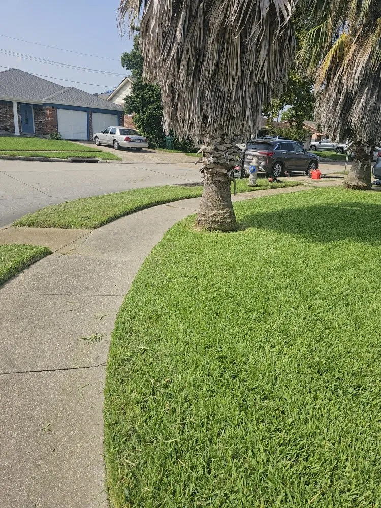 Trusted yard cleanup service in New Orleans, LA - Grass Genie