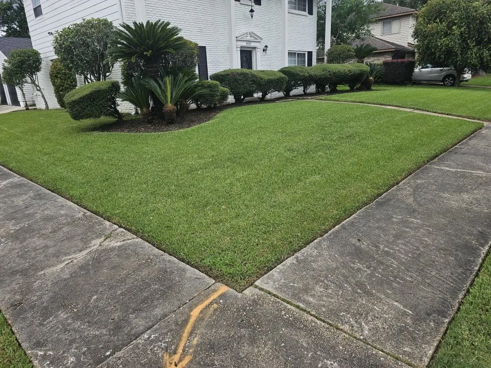 Custom yard cleanup service in New Orleans, LA by Grass Genie