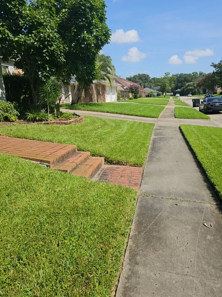 Local yard cleanup service for beautiful yards in New Orleans, LA by Grass Genie