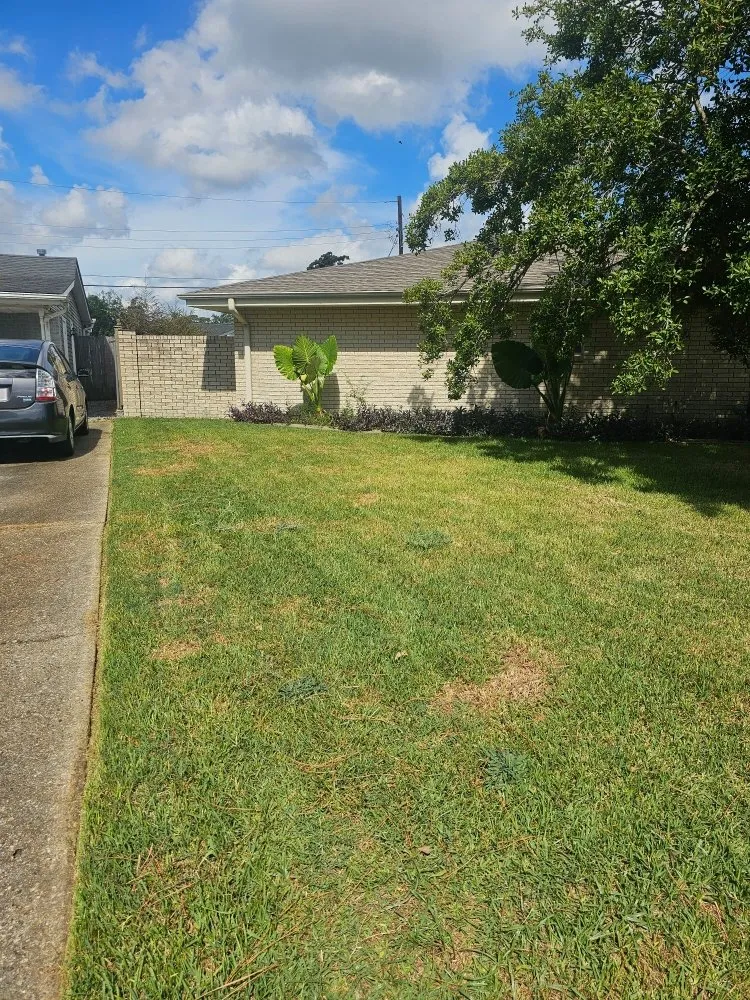 Reliable landscape installation in New Orleans, LA - Grass Genie