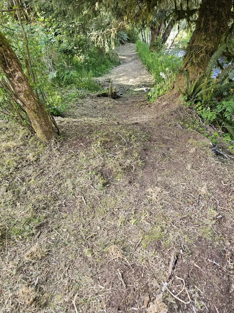 Expert residential landscaping in Depoe Bay, OR by Grass Goats