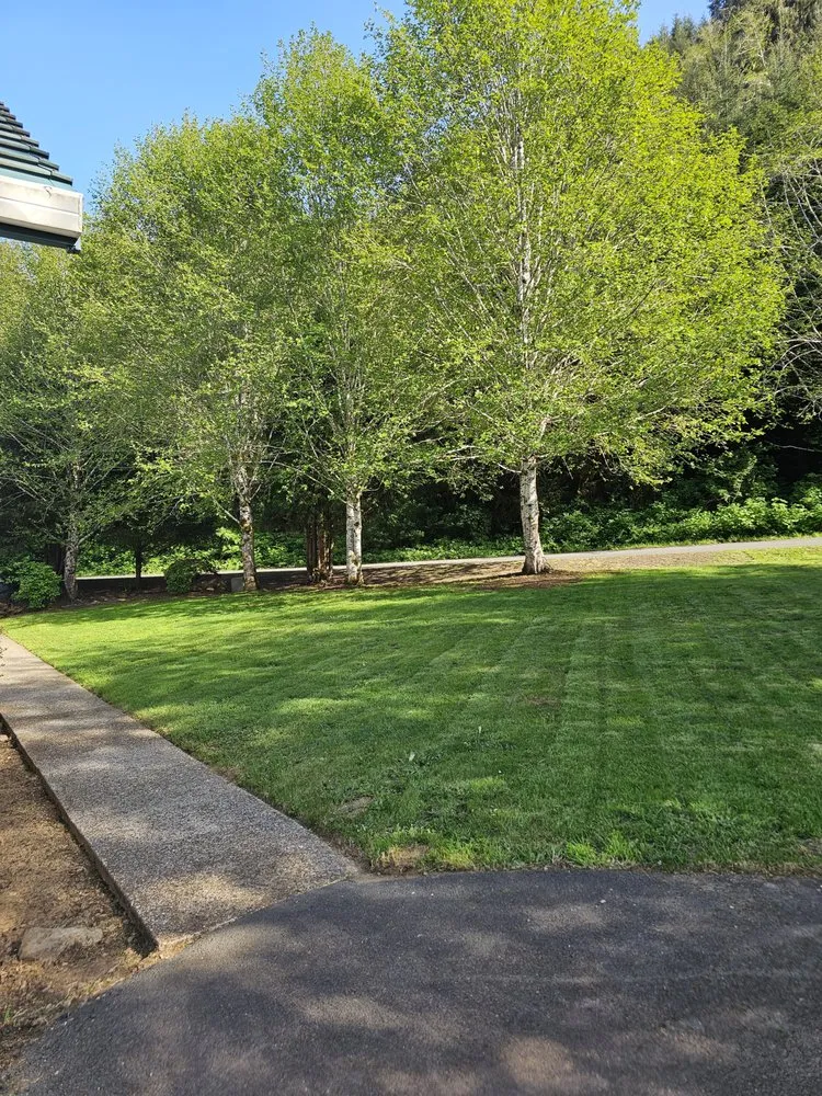 Affordable yard cleanup service for homes across Depoe Bay, OR - Grass Goats