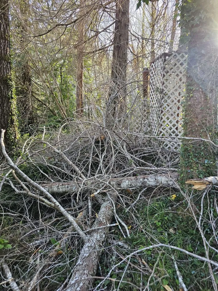 Top-rated residential landscaping for year-round maintenance in Depoe Bay, OR by Grass Goats