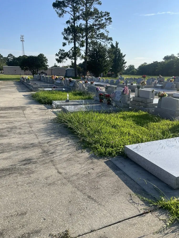 Local landscape installation for outdoor upgrades across Delcambre, LA - Grass Gobblers
