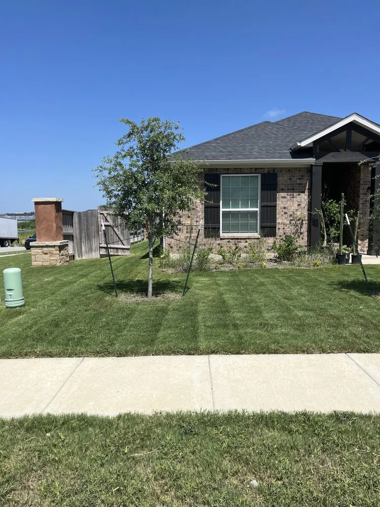 Affordable residential landscaping for year-round maintenance across Buda, TX - Grass Goblinz
