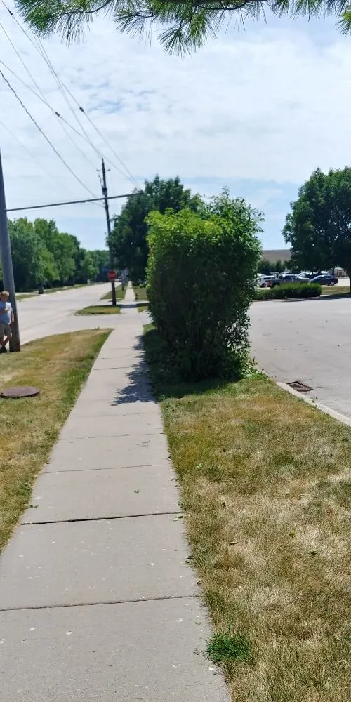 Reliable yard cleanup service experts serving Des Moines, IA - GRASS GRABBERS Lawn & Landscape