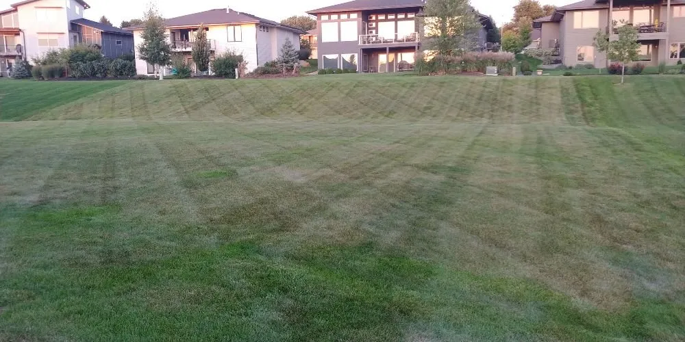 Professional yard cleanup service experts serving Des Moines, IA - GRASS GRABBERS Lawn & Landscape