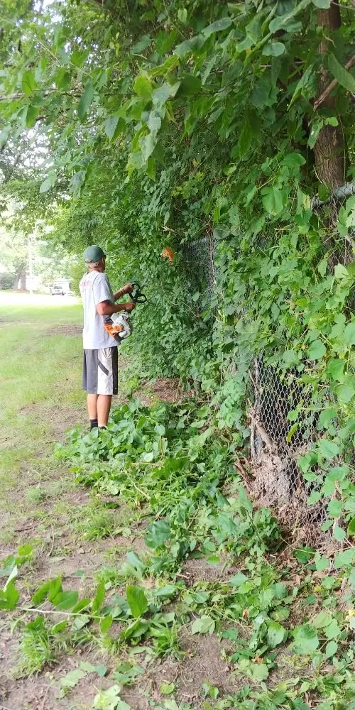 Expert yard cleanup service in Des Moines, IA - GRASS GRABBERS Lawn & Landscape