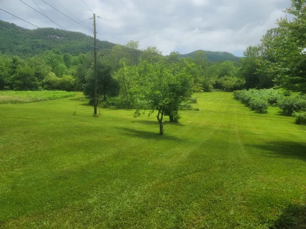 Affordable outdoor landscaping for homes across Clarkesville, GA - Grass Gremlin