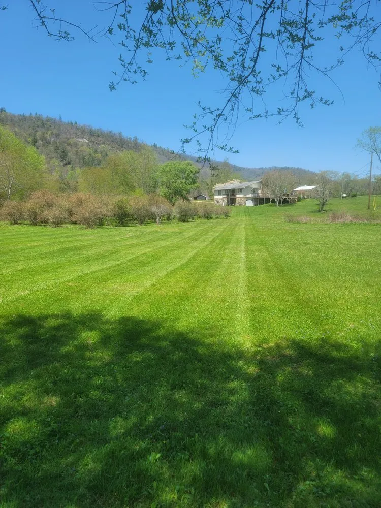 Local landscape installation for beautiful yards across Clarkesville, GA - Grass Gremlin