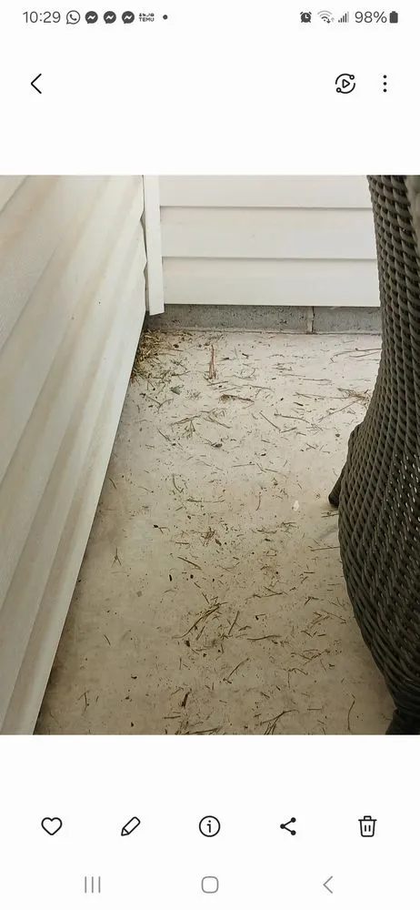 Local outdoor landscaping for residential properties in Jacksonville, FL by Grass Gremlins Lawn & Landscape