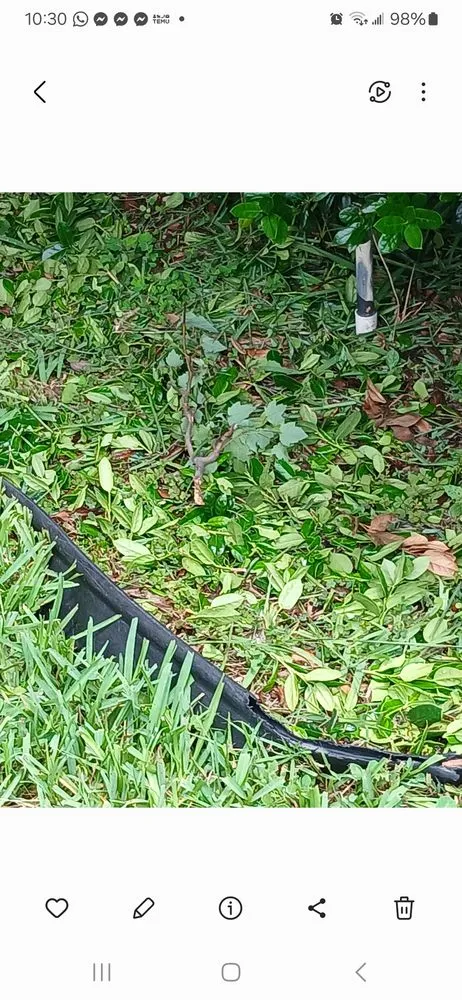 Trusted residential landscaping experts serving Jacksonville, FL - Grass Gremlins Lawn & Landscape