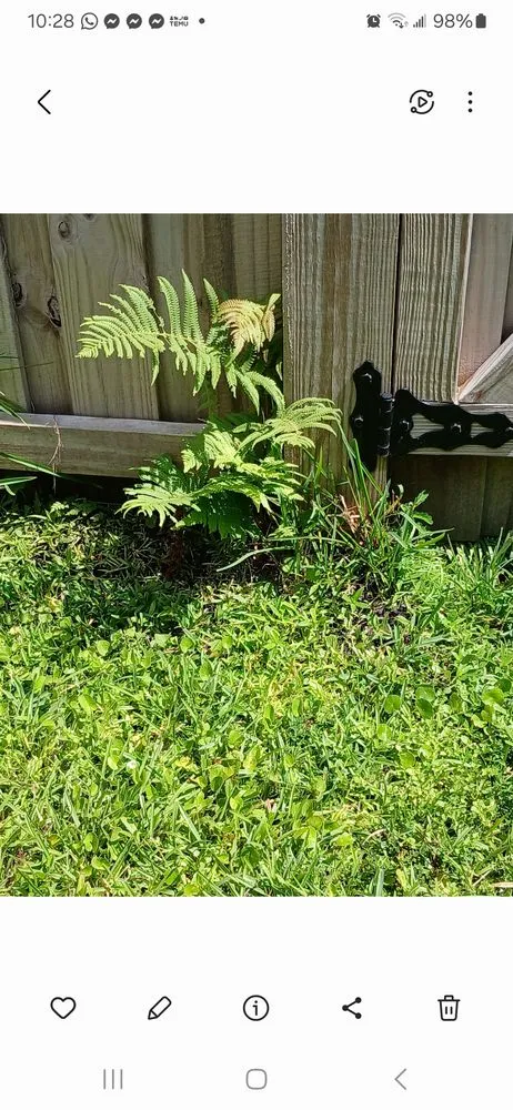 Reliable landscape design experts serving Jacksonville, FL - Grass Gremlins Lawn & Landscape