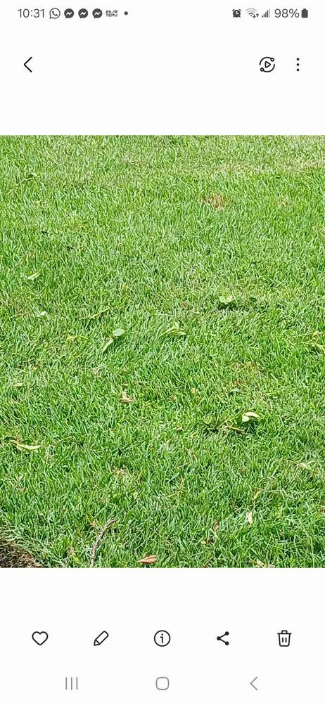 Top-rated residential landscaping near you in Jacksonville, FL by Grass Gremlins Lawn & Landscape