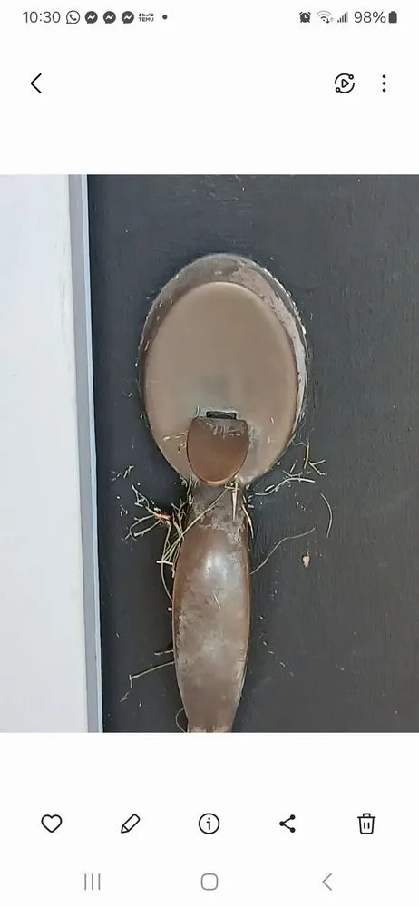 Top-rated yard maintenance for beautiful yards across Jacksonville, FL - Grass Gremlins Lawn & Landscape