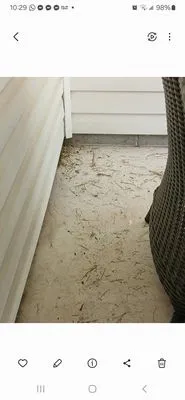 Grass Gremlins Lawn & Landscape Logo