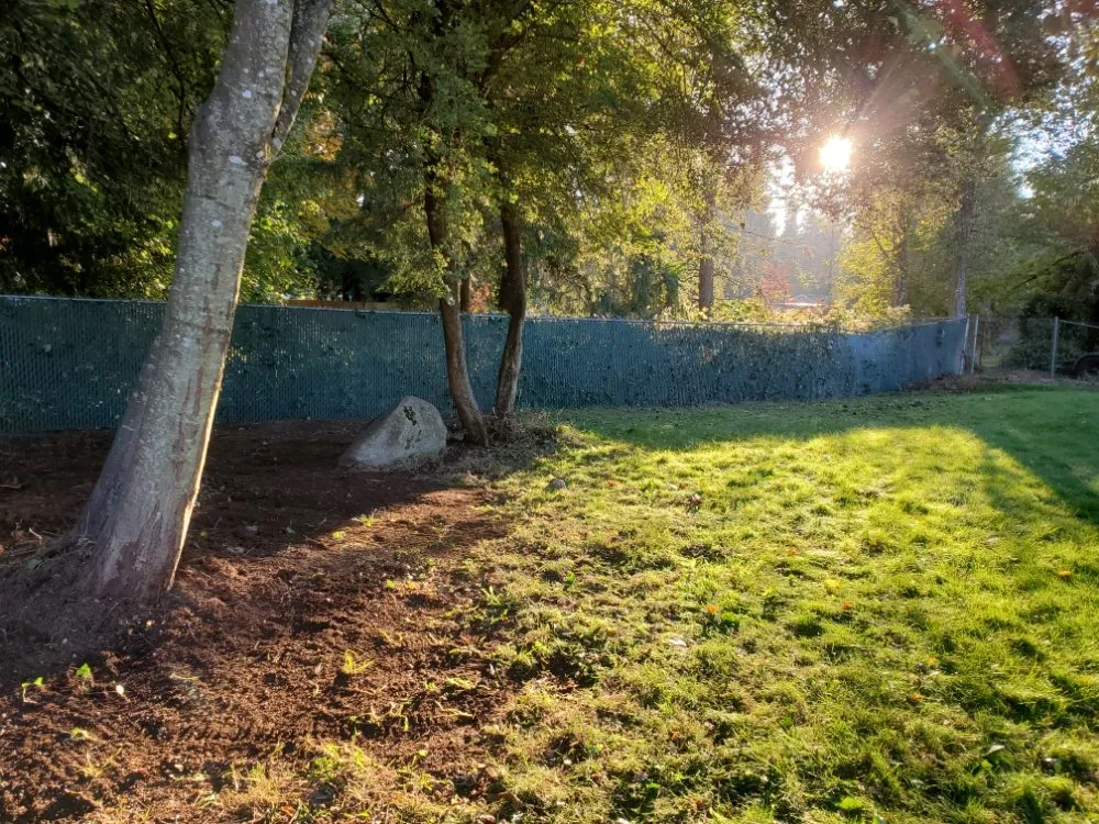 Professional lawn mowing service near you in Lacey, WA by GRASS Ground Renovations And Soil Services