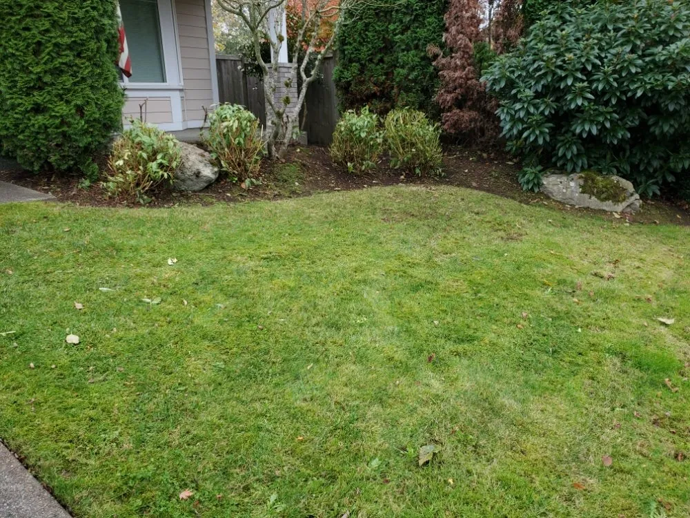 Affordable garden landscaping in Lacey, WA by GRASS Ground Renovations And Soil Services