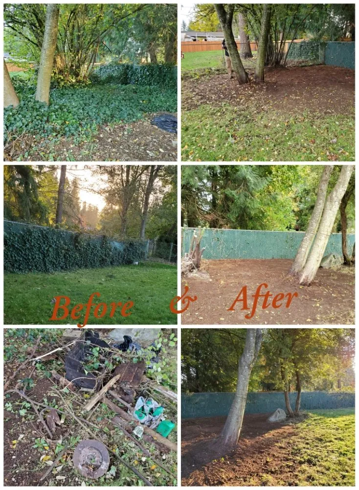 Affordable yard cleanup service for residential properties across Lacey, WA - GRASS Ground Renovations And Soil Services