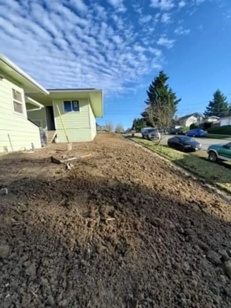 Local outdoor landscaping for year-round maintenance across Lacey, WA - GRASS Ground Renovations And Soil Services