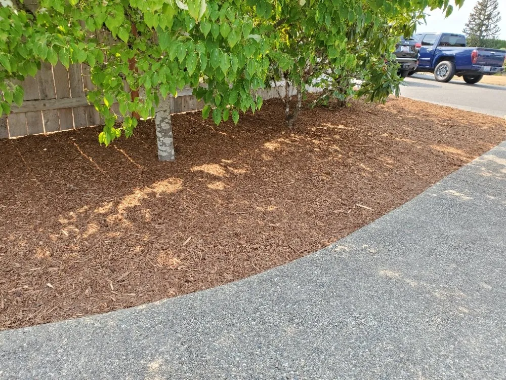 Reliable lawn mowing service in Lacey, WA - GRASS Ground Renovations And Soil Services