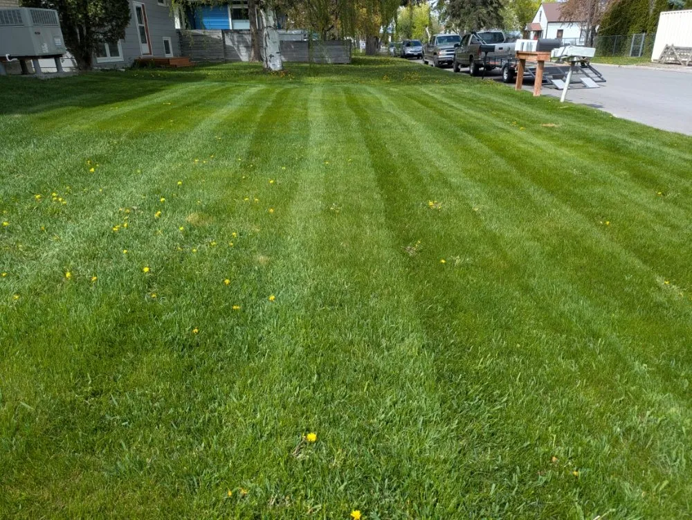 Expert yard cleanup service experts serving Kalispell, MT - Grass Guard Landscaping