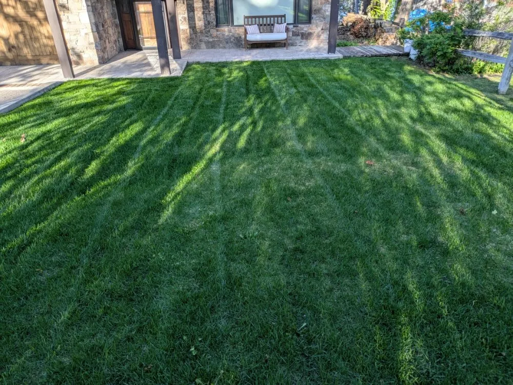 Affordable landscape design experts serving Kalispell, MT - Grass Guard Landscaping