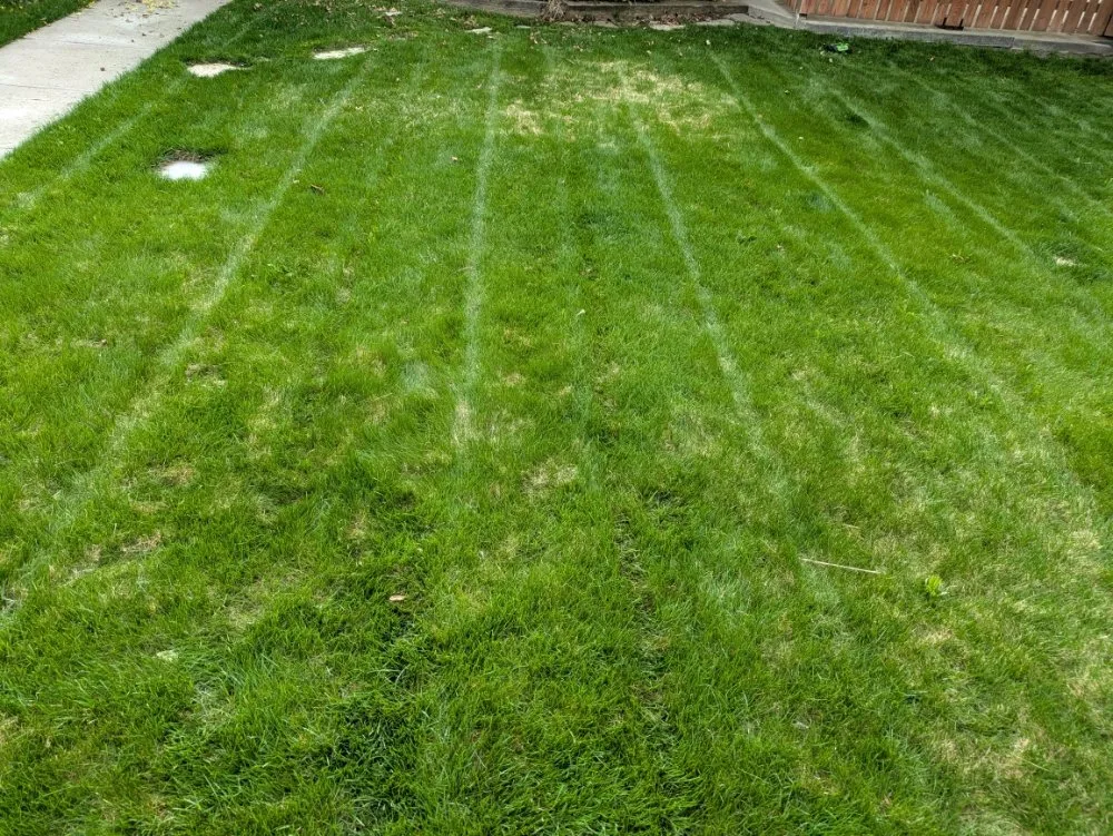 Professional landscape installation experts serving Kalispell, MT - Grass Guard Landscaping