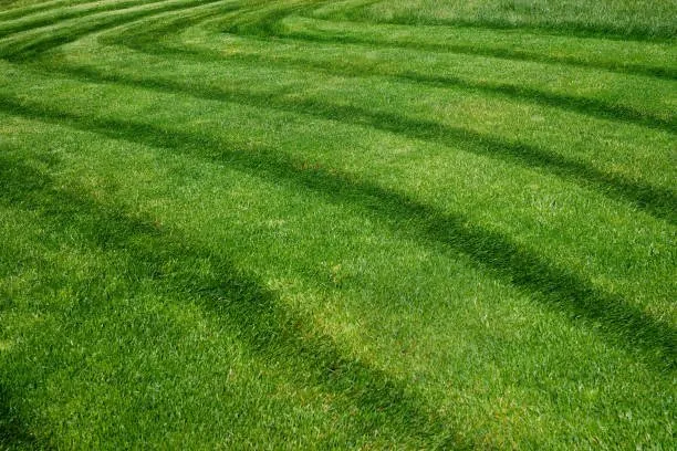 Trusted lawn mowing service in Pine Springs, MN by Grass Guardians Landscaping