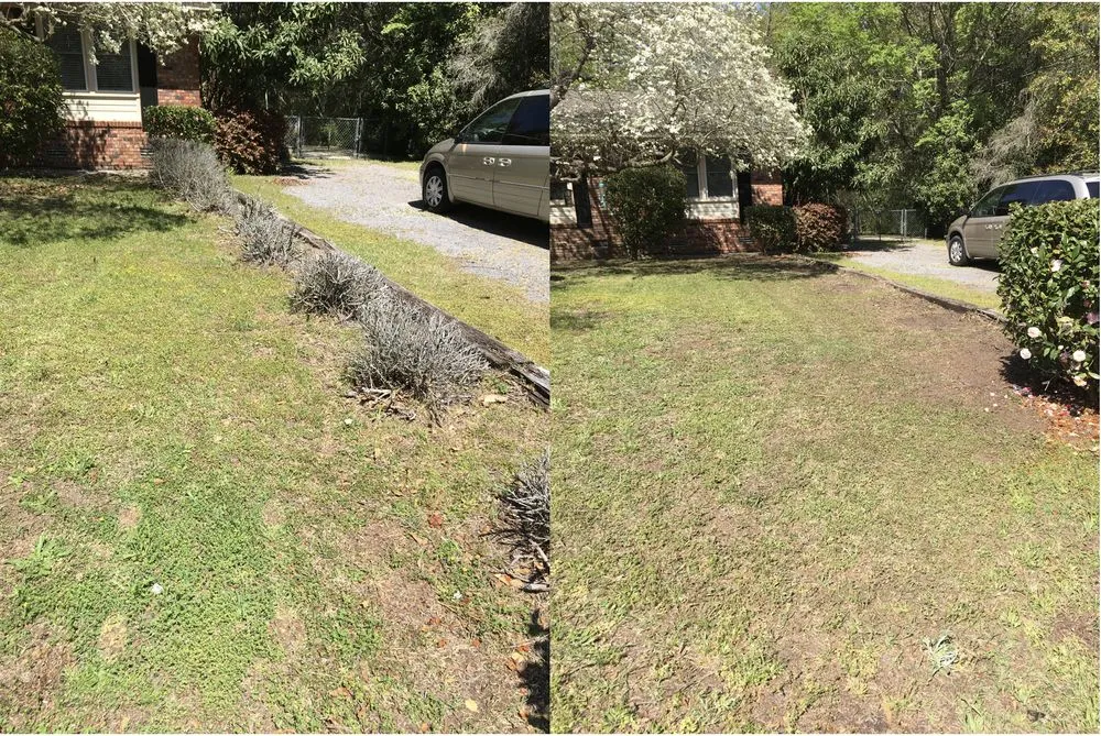 Local lawn care service experts serving Florence, SC - Grass Guru