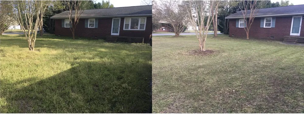 Professional lawn mowing service in Florence, SC by Grass Guru