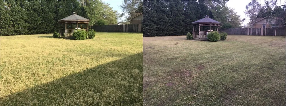 Professional landscape installation experts serving Florence, SC - Grass Guru