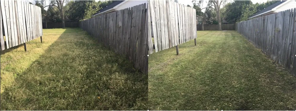 Professional landscape installation in Florence, SC - Grass Guru