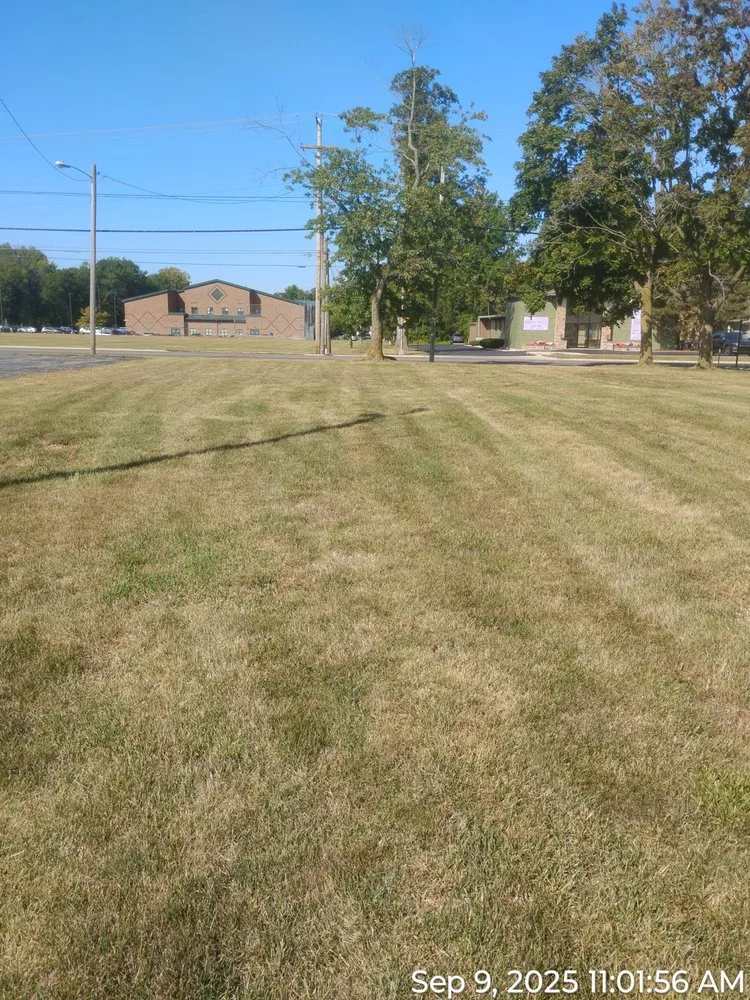 Local landscaping services in Lima, OH by Grass Guru