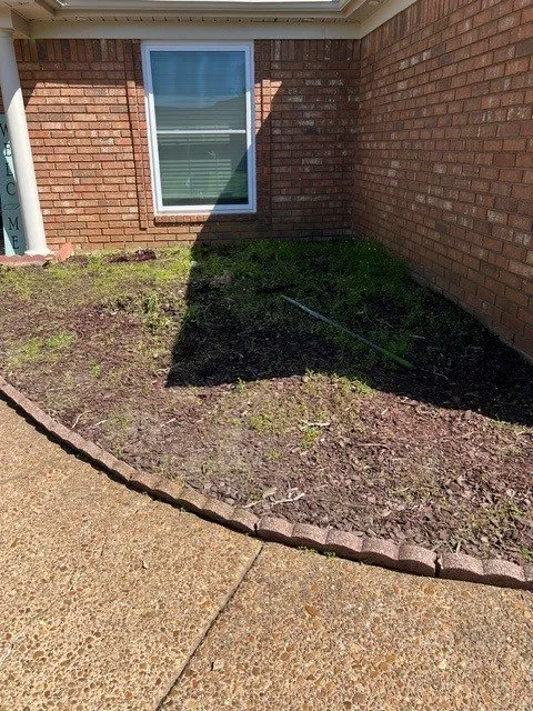 Professional yard maintenance in Munford, TN - Grass Gurus & Services