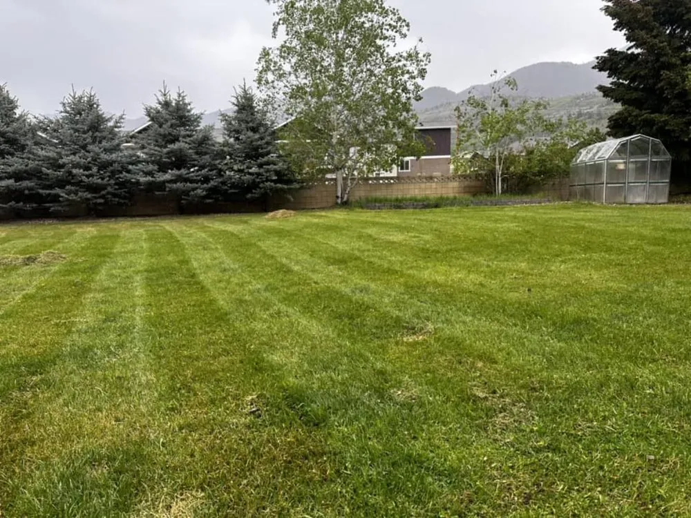 Custom yard maintenance for beautiful yards in Butte, MT by Grass Gurus