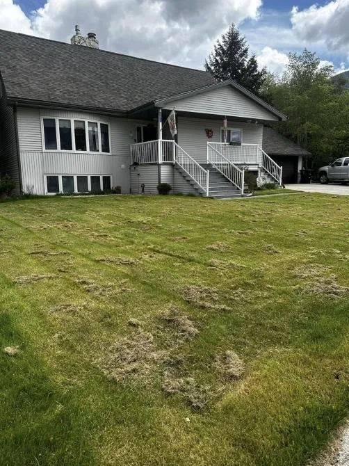 Top-rated landscape installation in Butte, MT by Grass Gurus