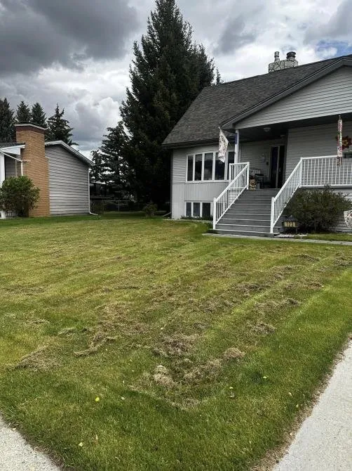 Local landscape design for homes in Butte, MT by Grass Gurus
