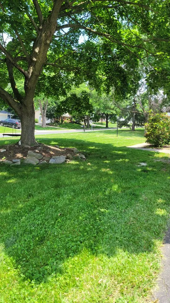 Professional yard maintenance in Camp Hill, PA - Grass Gurus