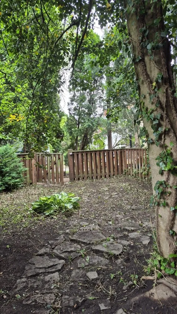 Reliable landscaping services in Camp Hill, PA by Grass Gurus